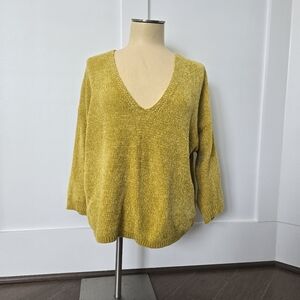 Express V-neck Sweater